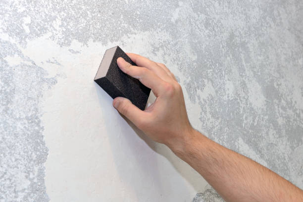 Best Post-Construction Mold Inspection  in North Amityville, NY