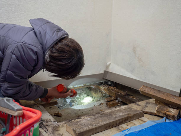 Mold Removal for HVAC Installations in North Amityville, NY