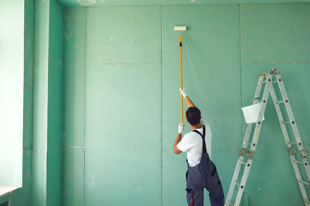 Best Environmental Consulting for Mold Prevention  in North Amityville, NY