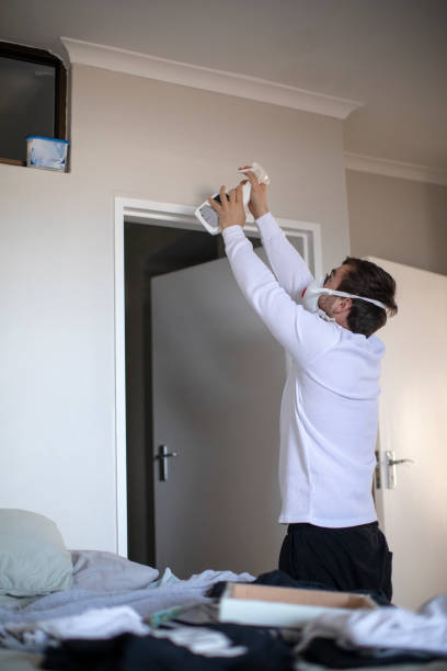 Best Biohazard Mold Removal  in North Amityville, NY