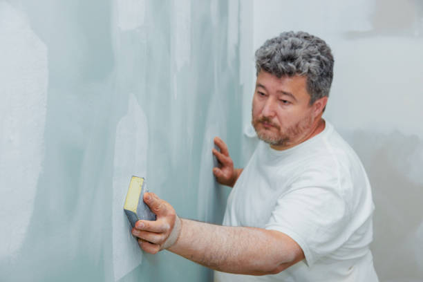 Best Asbestos and Lead Testing During Mold Inspection  in North Amityville, NY