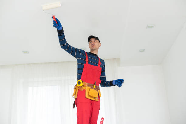 Best Basement Mold Removal  in North Amityville, NY