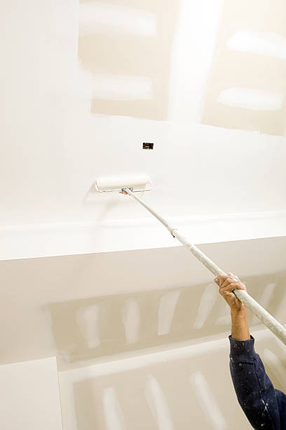 Mold Documentation for Insurance Claims in North Amityville, NY