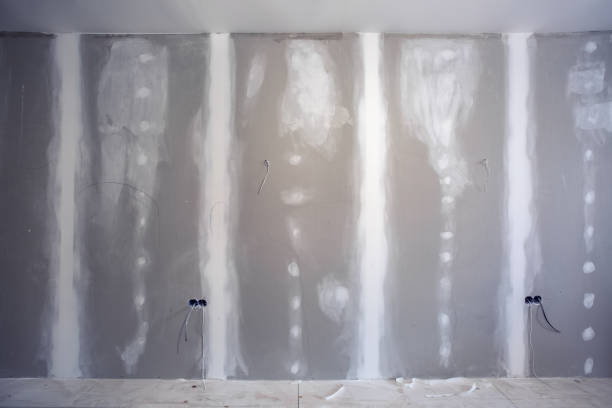 Best Air Quality Testing for Mold Spores  in North Amityville, NY